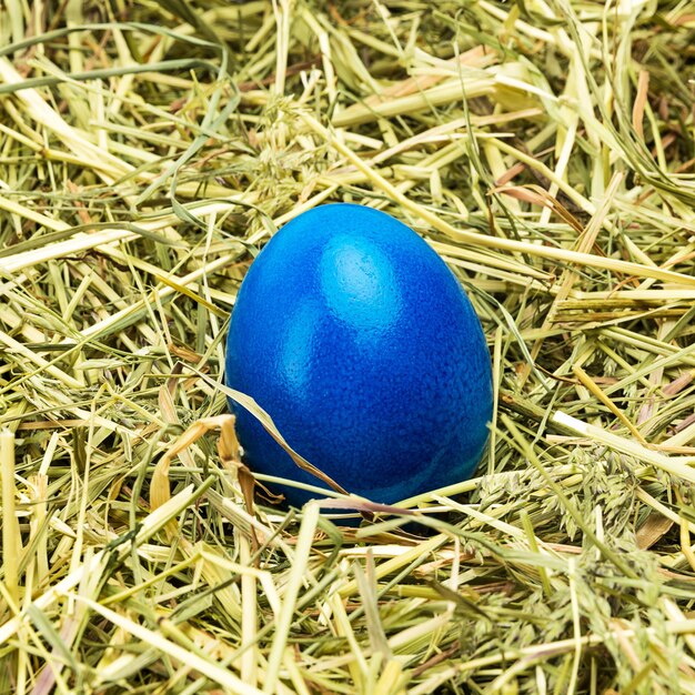 Un huevo de Pascua de color azul se encuentra en el heno. Tomada en estudio con una 5D mark III.