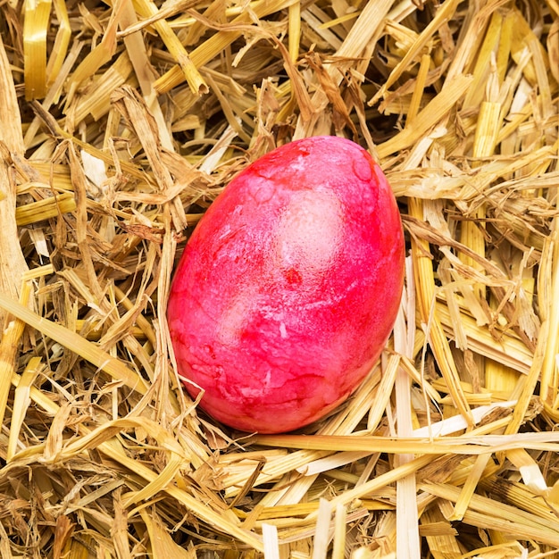 Un huevo de Pascua de color rosa se encuentra en la paja. Tomada en estudio con una 5D mark III.