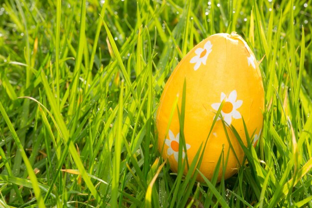 Huevo de Pascua naranja en la hierba