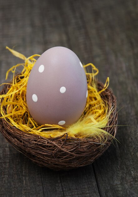 Huevo de Pascua en un nido