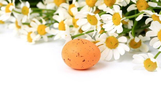 Huevo de Pascua en la primavera de fondo Margarita con enfoque borroso