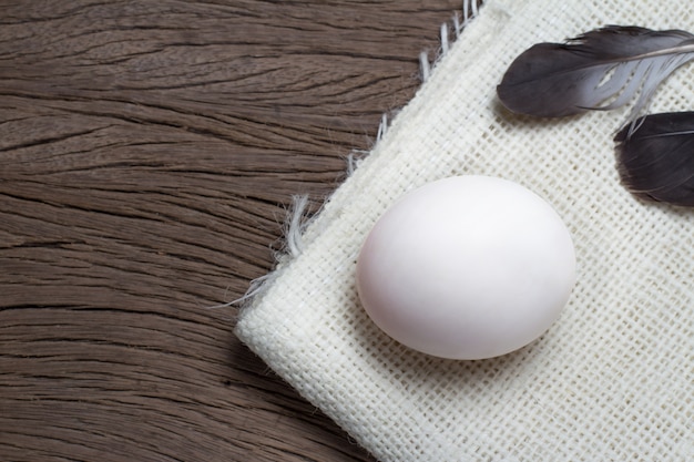 Huevo de pato blanco con plumas en cilicio