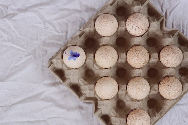 Huevo de pavo en paquete de desperdicio cero con flor azul sobre tela blanca