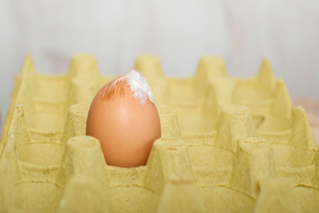 Huevo con una pluma en una bandeja de transporte de papel de cartón Envasado para huevos para la escasez de huevos de Pascua