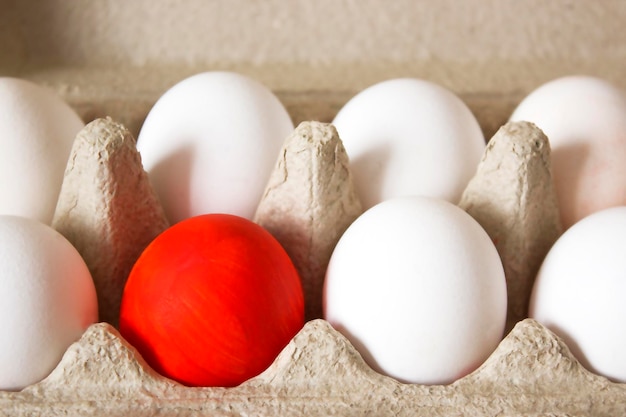 un huevo rojo entre huevos blancos en una caja