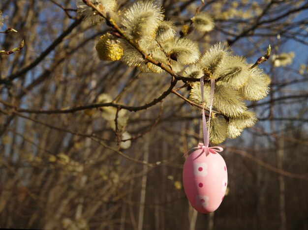 Huevo rosa de Pascua colgado en una rama de sauce esponjoso en un día soleado al aire libre