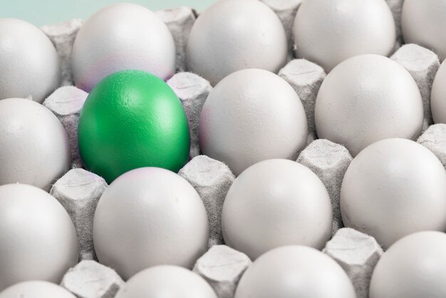 huevo verde entre muchos huevos blancos en la caja, primer plano. advenedizo y líder, símbolo de la individualidad.