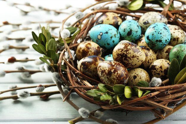 Huevos de aves en el nido sobre fondo de madera de color