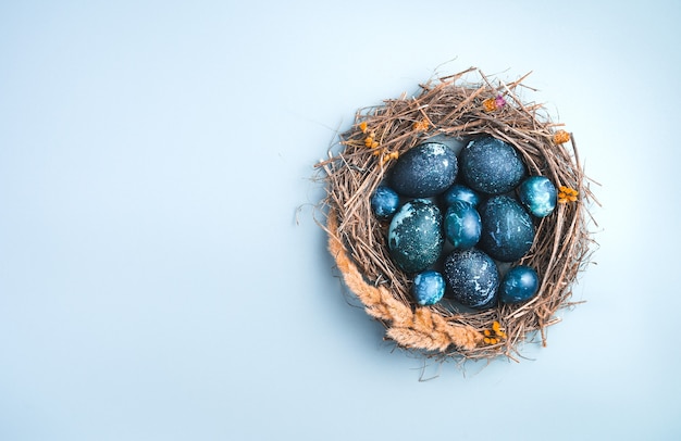 Huevos azules en un nido sobre un fondo azul. Vista superior, con espacio para copiar. El concepto de Pascua.