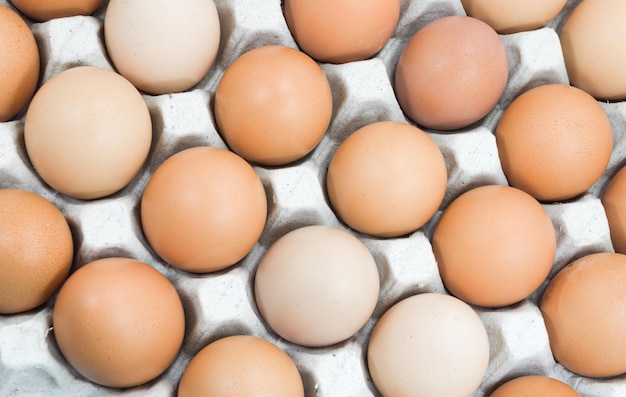 Huevos en bandeja de papel sobre huevos blancos marrones en un cartón de huevos