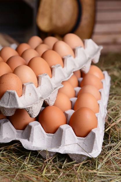 Foto huevos en bandejas de papel en primer plano de la mesa