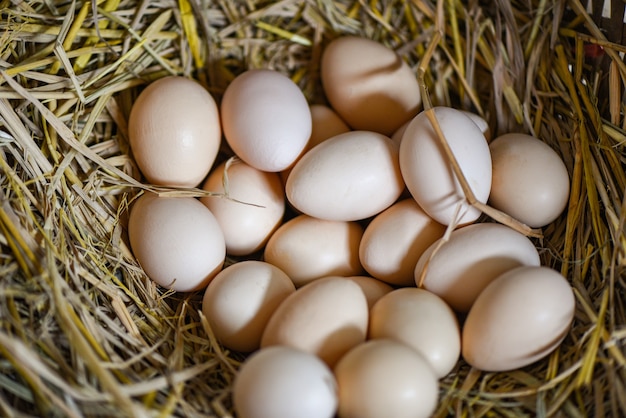 Huevos blancos y marrones en el nido de la cesta