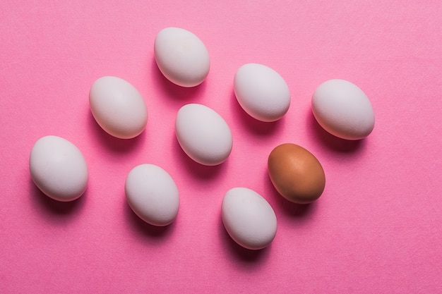 Huevos blancos orgánicos en un crudo en backgound en colores pastel.