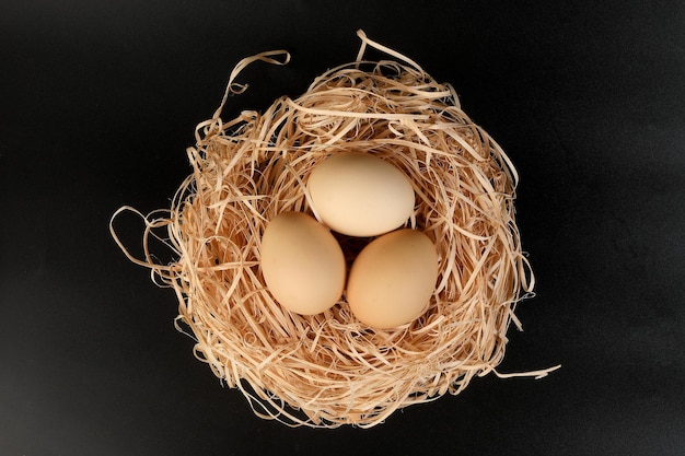 Huevos en una canasta de nido sobre fondo negro
