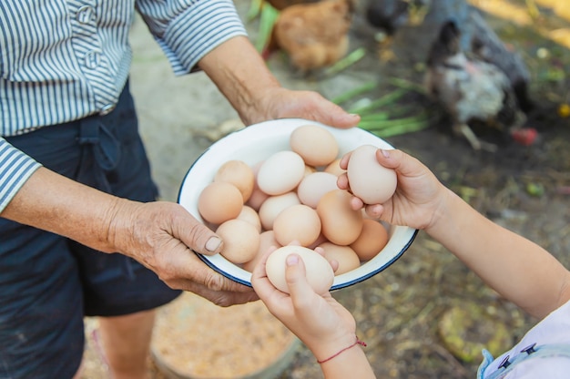 Huevos caseros en manos de la abuela.