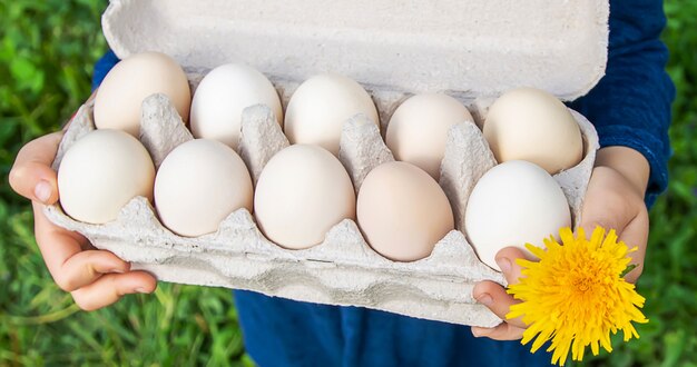 Huevos caseros en manos de un niño.