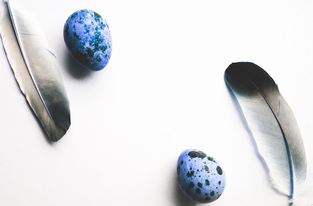 Huevos de codorniz azul con una pluma. Marco para felices Pascuas. Copia espacio Vista superior.