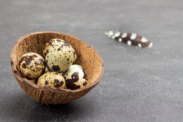 Foto huevos de codorniz con cáscara de coco. pluma de codorniz. copie el espacio. fondo negro.