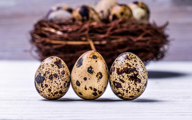 Huevos de codorniz Dieta proteica