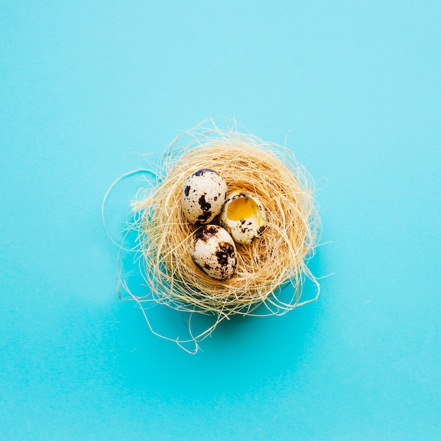 Foto huevos de codorniz enteros y agrietados en el nido