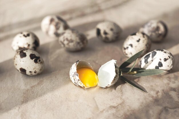 Huevos de codorniz enteros y rotos con yema de huevo sobre fondo de mesa de piedra marrón con sombra.