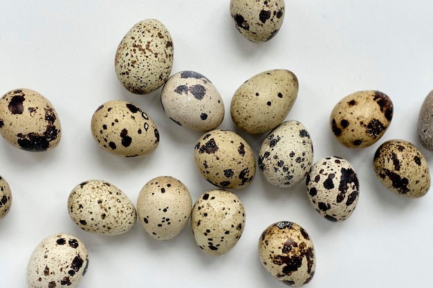 Huevos de codorniz fondo blanco vista superior concepto de Pascua
