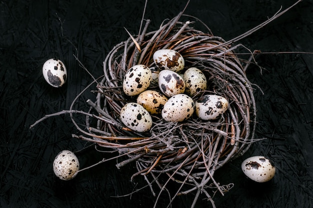 Huevos de codorniz Huevos en el nido Fondo oscuro
