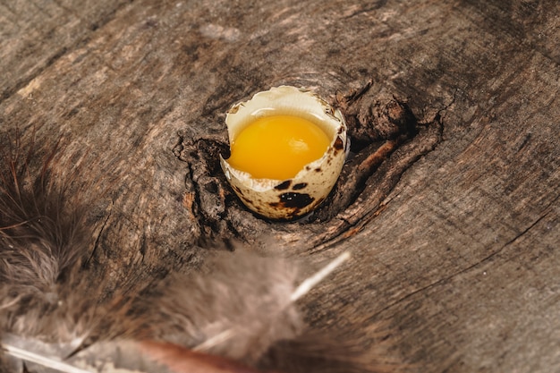 Huevos de codorniz en una mesa de madera