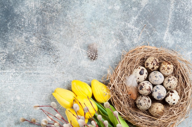 Huevos de codorniz en nido y flores amarillas Tarjeta de felicitación de Pascua