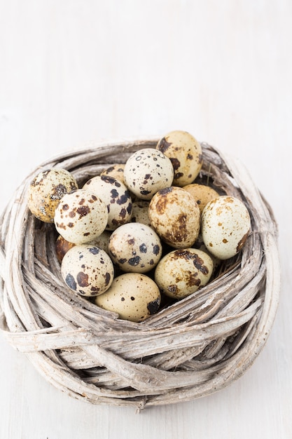 Foto huevos de codorniz de nido de pájaros. composición de pascua.