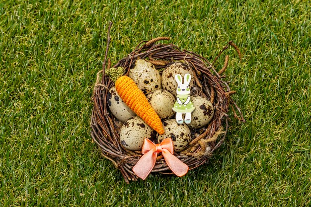 Huevos de codorniz en un nido de pájaros sobre hierba verde fresca y soleada