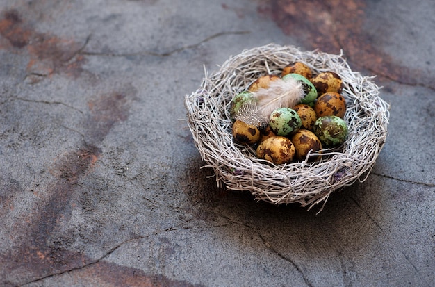 Huevos de codorniz en un nido sobre un fondo gris