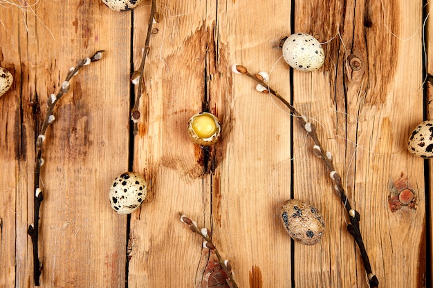Huevos de codorniz en el nido sobre fondo de madera con rama de sauce.