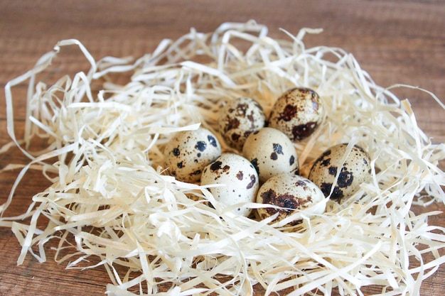 Huevos de codorniz en el nido