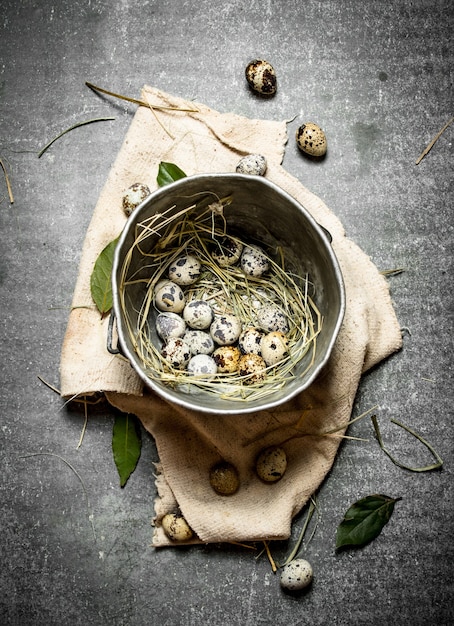 Huevos de codorniz en una olla vieja y una hoja de laurel