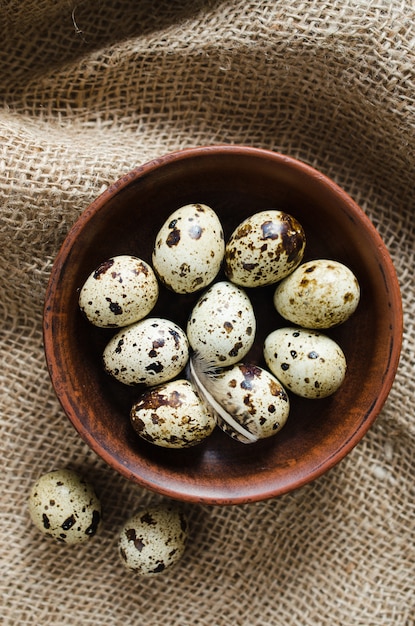 Huevos de codorniz orgánicos frescos en un tazón de cerámica.