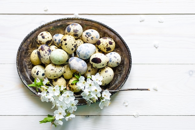 Huevos de codorniz de Pascua, flor de albaricoque, plato sobre fondo blanco de madera Endecha plana