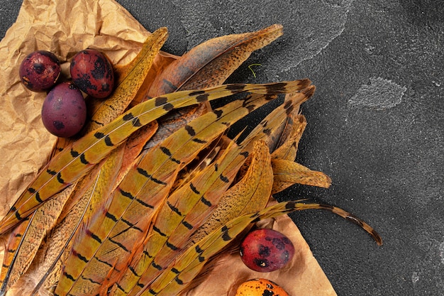 Huevos de codorniz de Pascua en plumas sobre fondo oscuro