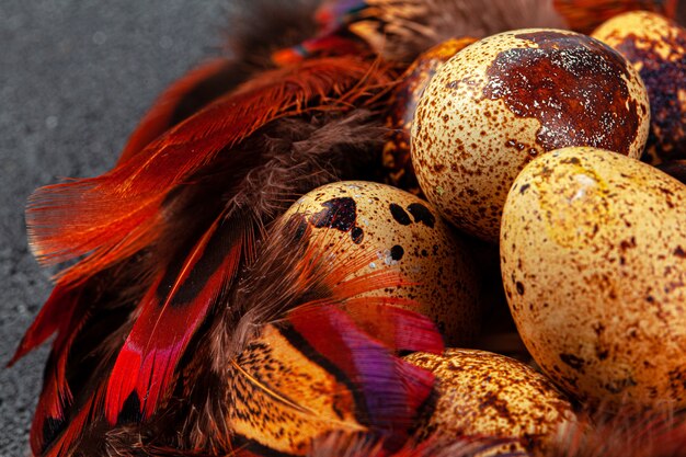 Huevos de codorniz de Pascua en plumas