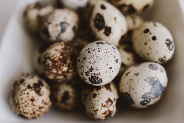 huevos de codorniz en un pequeño paño blanco sobre un fondo claro