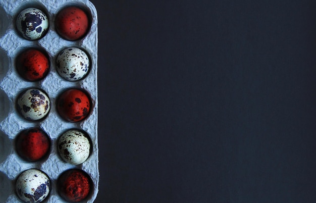 Huevos de codorniz pintados en una caja para pascua