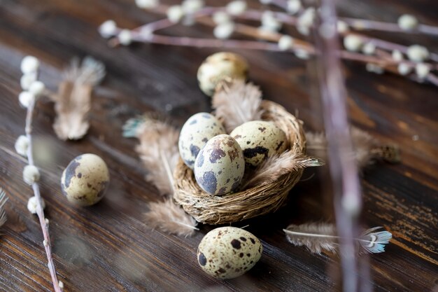 Huevos de codorniz, plumas, ramas de sauce en una mesa de madera. Efecto vintage