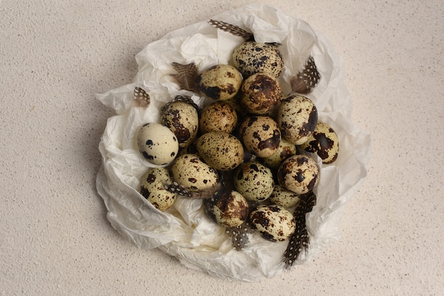 Huevos de codorniz y plumas sobre papel marrón arrugado blanco.