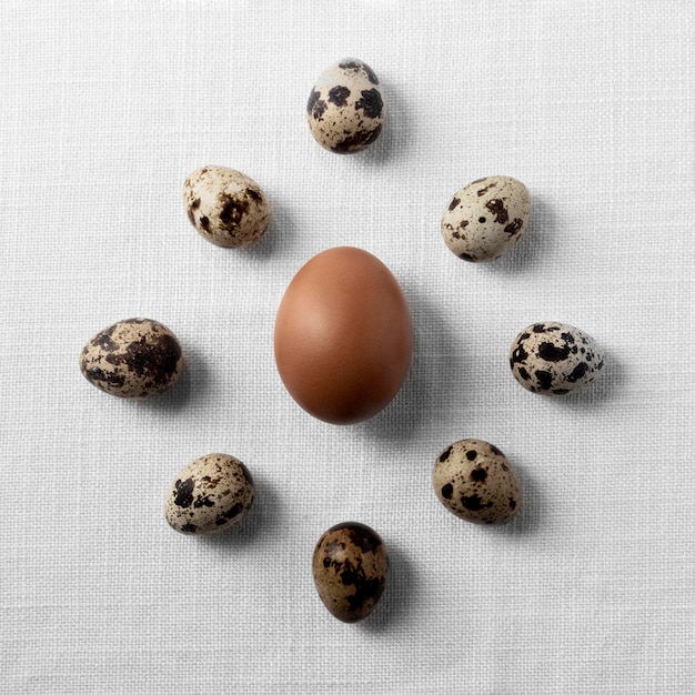 Foto huevos de codorniz y pollo laicos planos en mesa