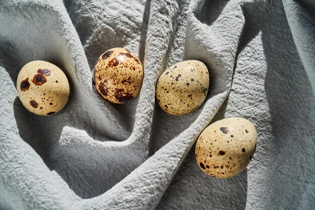 Huevos de codorniz en un primer plano de un delantal azul