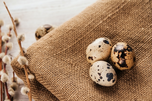 Huevos de codorniz y ramitas de sauce sobre arpillera sobre una superficie de madera blanca copia espacio. decoración natural de pascua