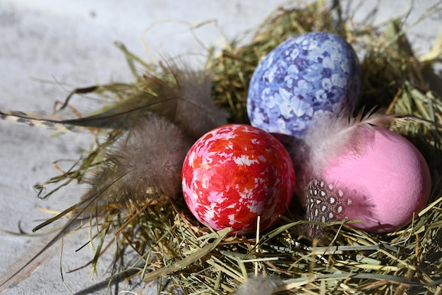 huevos de codorniz sobre un fondo claro enmarcados por plumas de codorniz