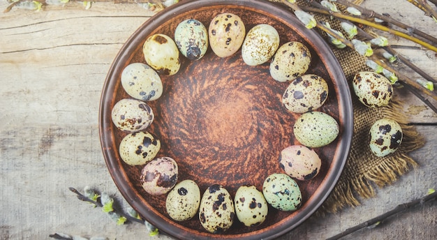 Huevos de codorniz sobre un hermoso fondo de primavera. Enfoque selectivo