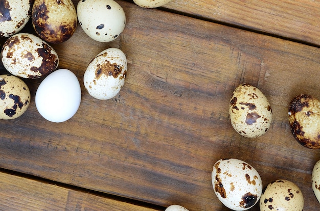 Huevos de codorniz sobre una superficie de madera marrón oscuro, vista desde arriba, lugar vacío para el texto, receta