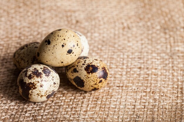 Huevos de codorniz sobre tela de saco